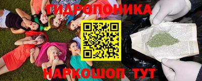 индика Кумертау