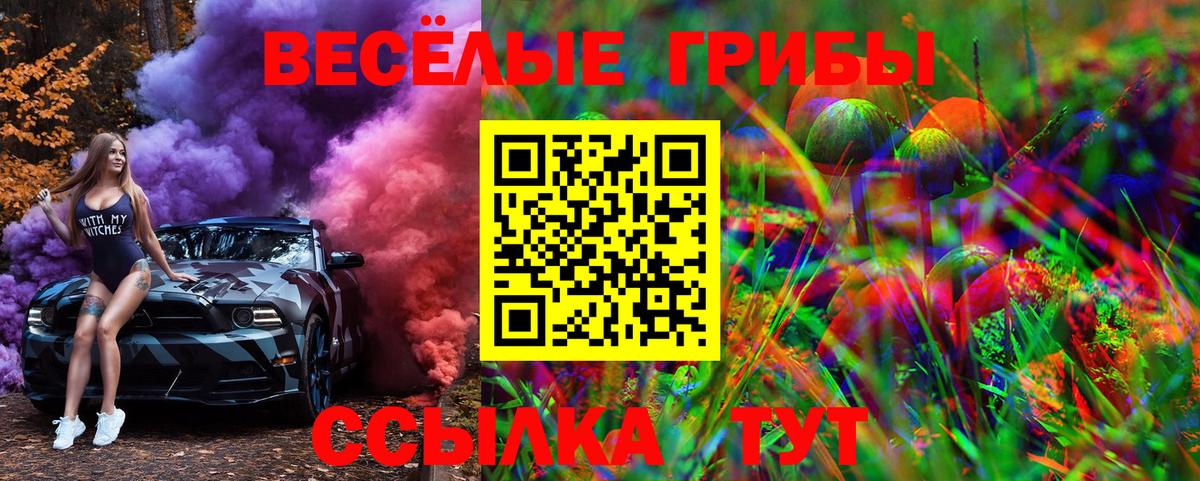 Галлюциногенные грибы Psilocybine cubensis  Псилоцибиновые грибы Magic Shrooms  Ижевск  Вход с VPN 